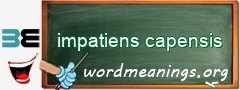 WordMeaning blackboard for impatiens capensis